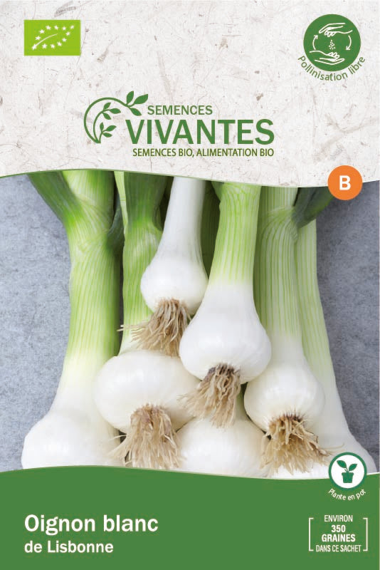 Semences Vivantes -- Oignon blanc de Lisbonne Bio - sachet de 350 graines